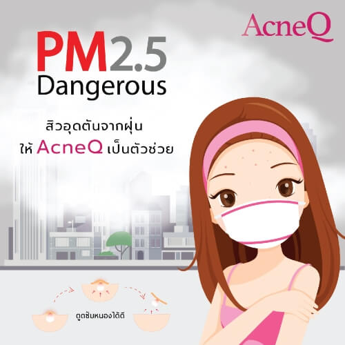 ฝุ่นละออง​ PM2.5 ตัวการของสิว และอันตรายต่อสุขภาพ

&nbsp;
