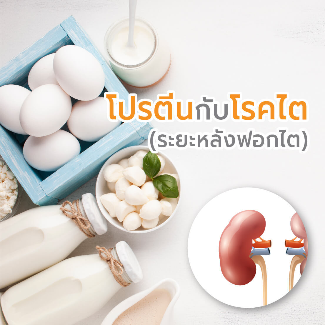 โปรตีนกับโรคไต (ระยะหลังฟอกไต)

&nbsp;

&nbsp;
